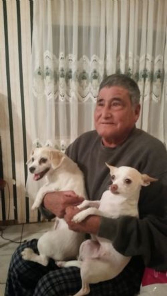 Eliseo Rojas