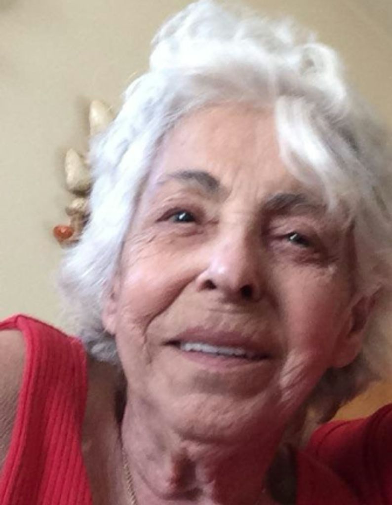 Janice M. (Vaccariello)  Pietrantozzi