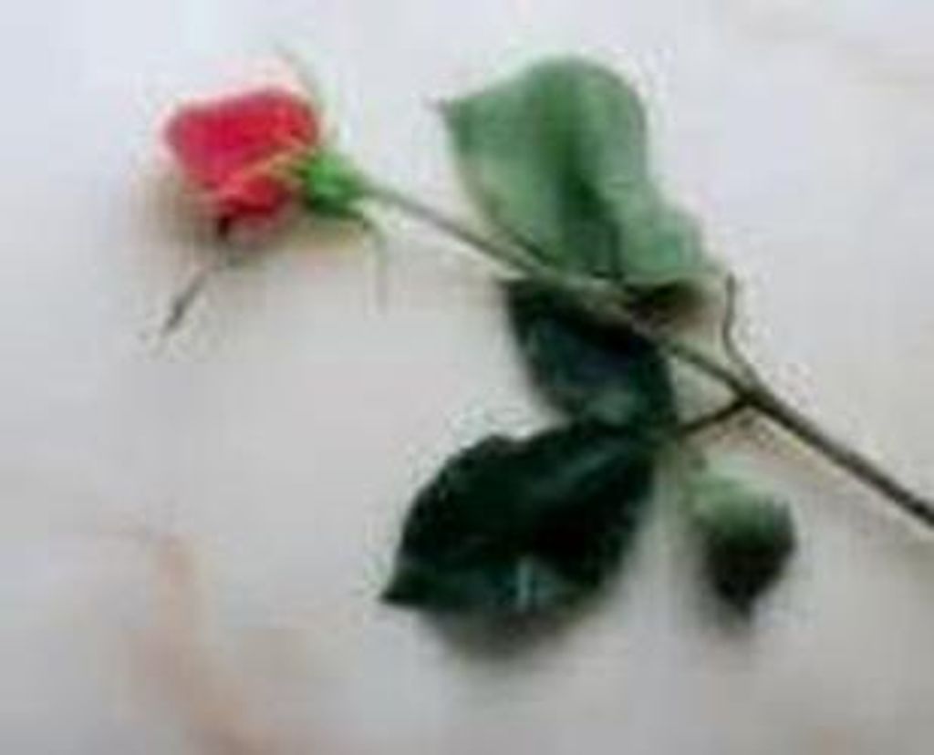 Francis Mathis Bates Profile Photo