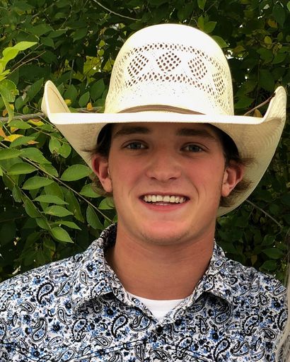 https://cdn.tukioswebsites.com/ad83703c-b051-4172-a1bd-f9e80a1a097d/md's obituary image