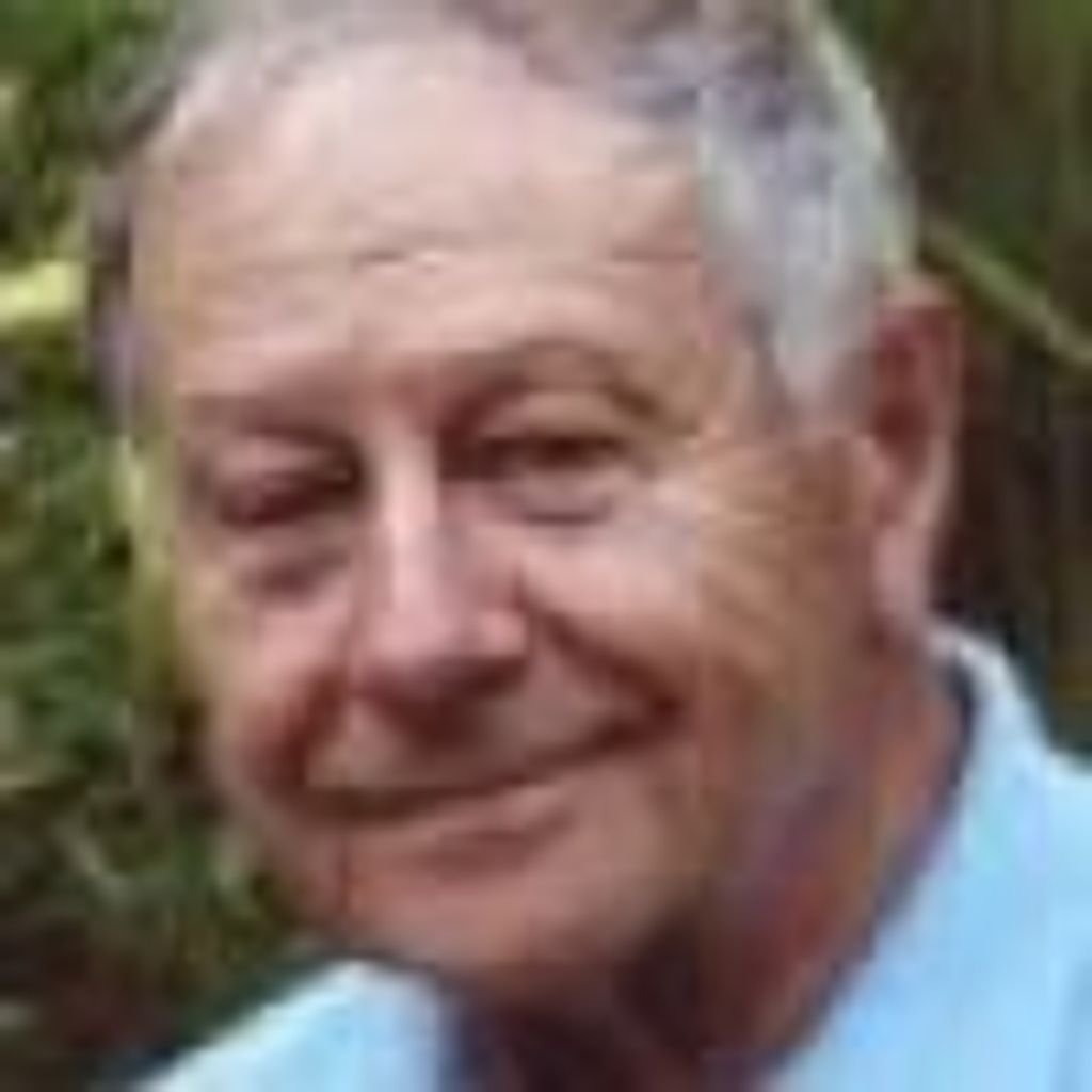 Ronald N.  Barnes Profile Photo
