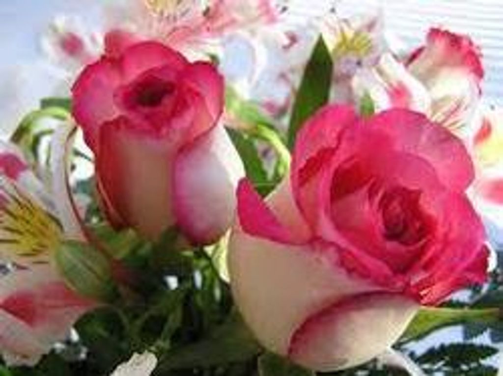 Muriel Paul-Cavallier