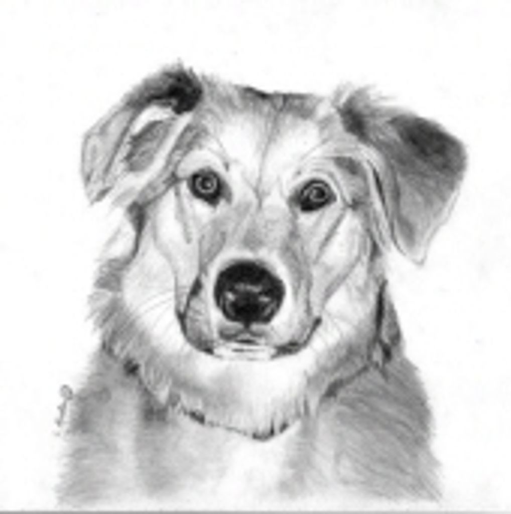 Maverick Cholka Profile Photo