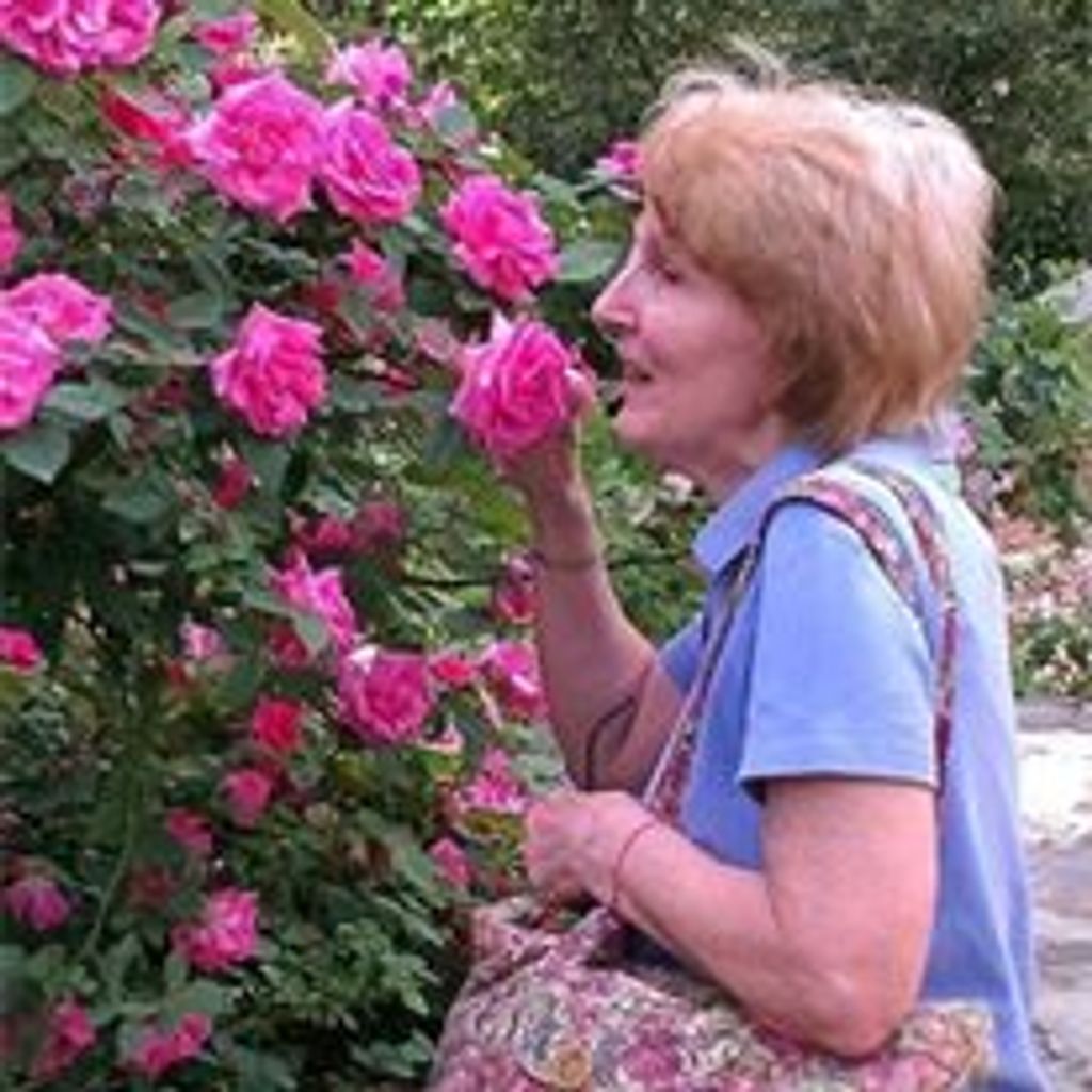 Marilyn N. (Stewart) Tarleton