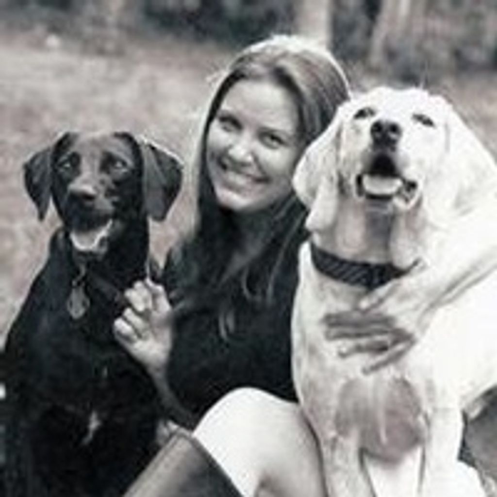 Julie Faye Bingham Haarhuis
