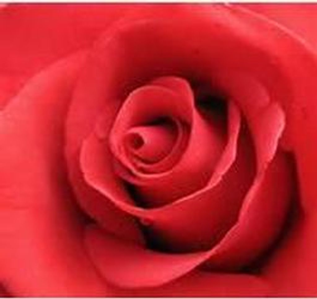 Noura Mikha Kachucha Kinaia