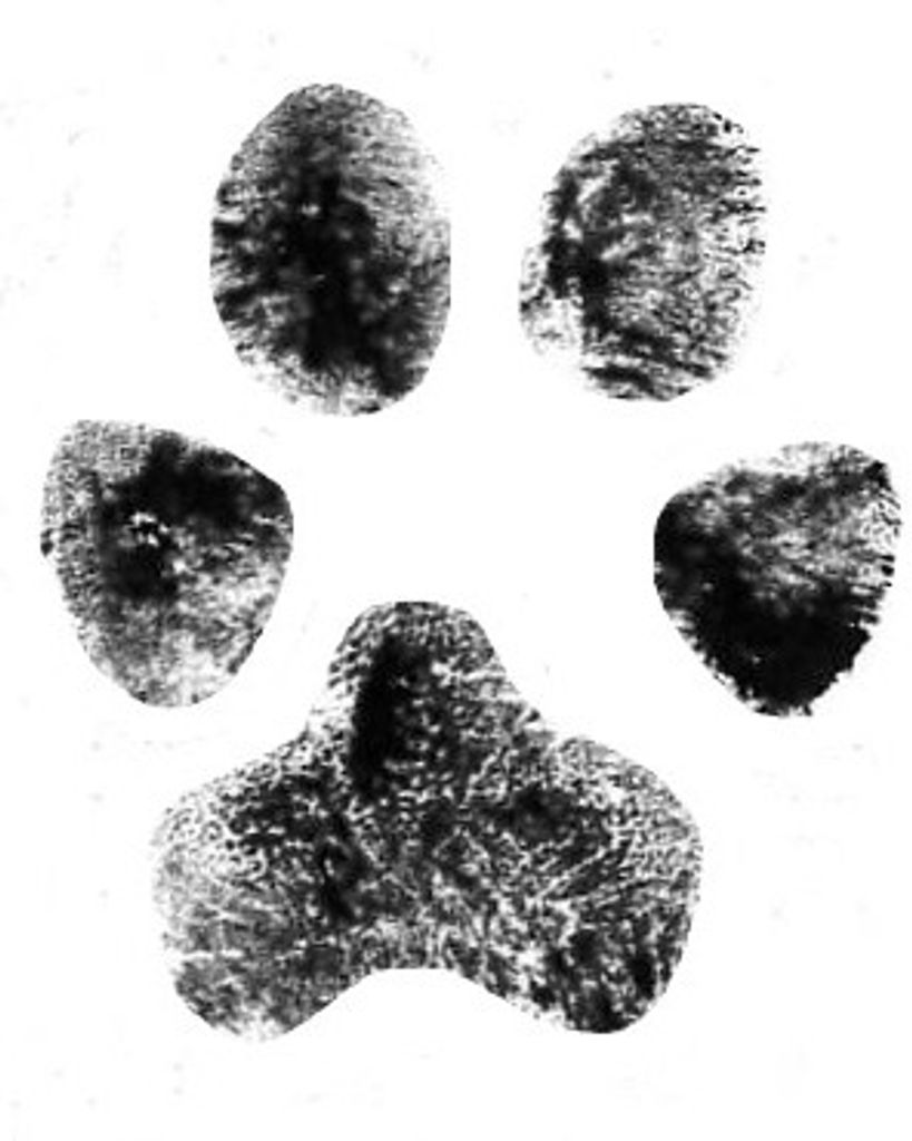 Leo Caldwell Profile Photo