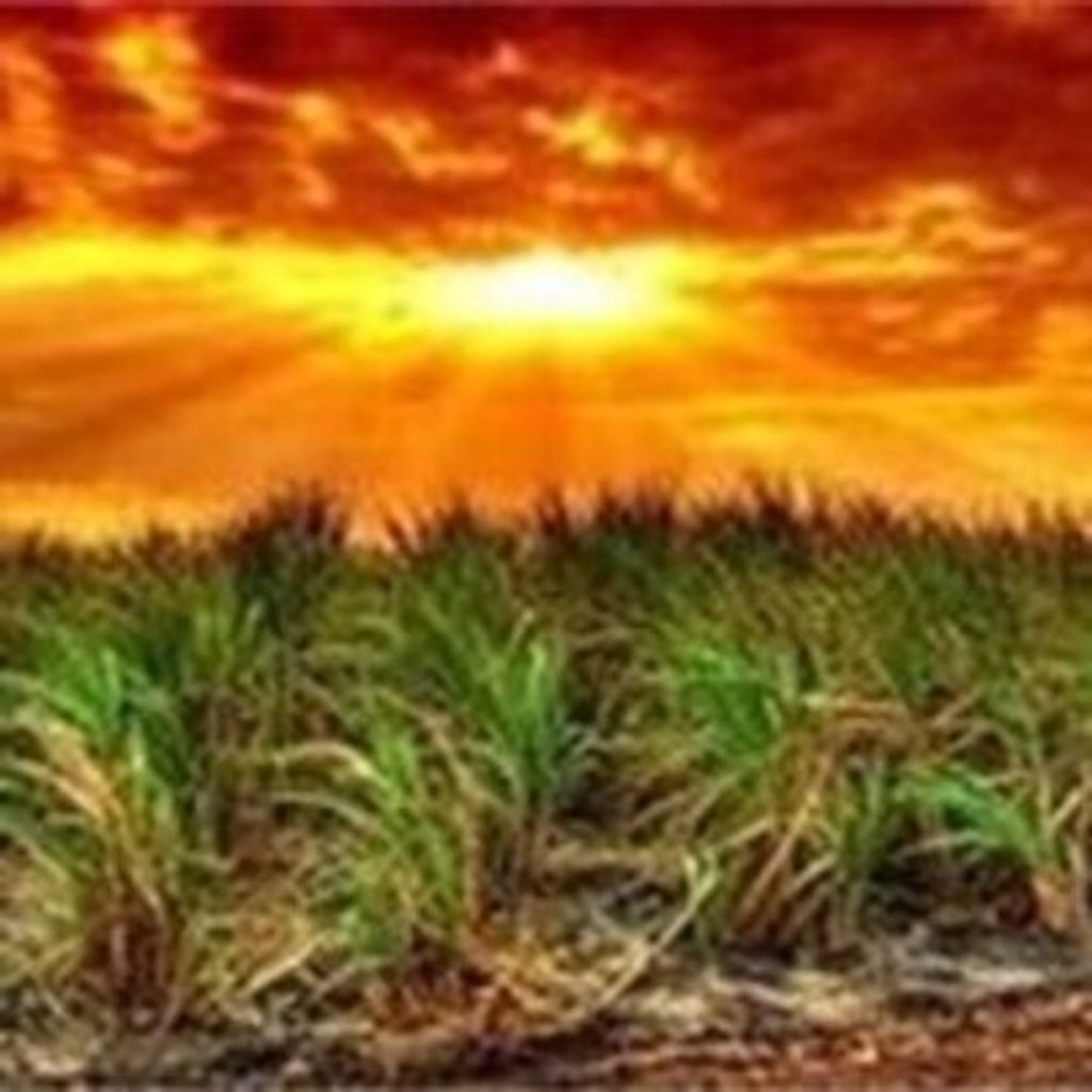 Jose Escalante De La Pena