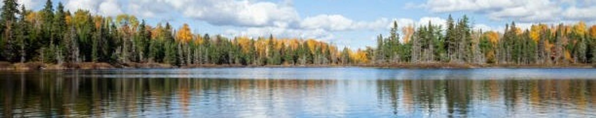 Cover for Brian Scott Watkins's Obituary