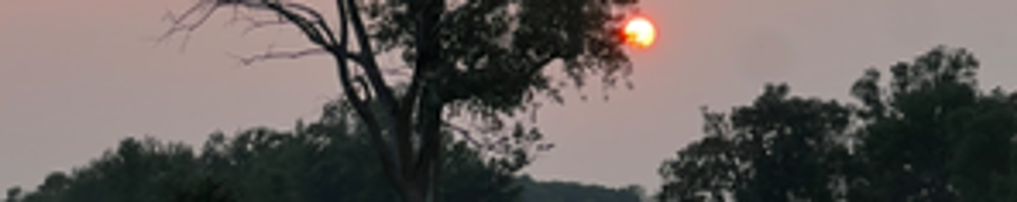 Cover for Olga Tkachyk's Obituary