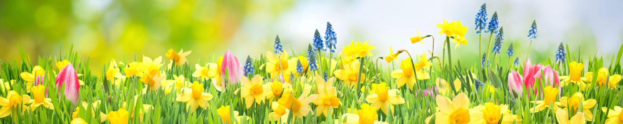 Cover photo for Mary K. Travis's Obituary