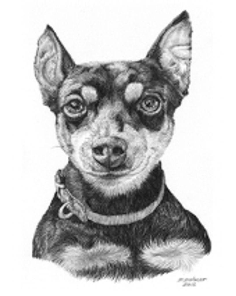 Tazzie J Miller Profile Photo