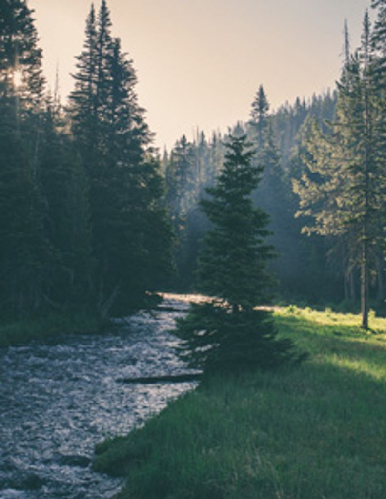 Gilbert  Joseph Mongeon Profile Photo