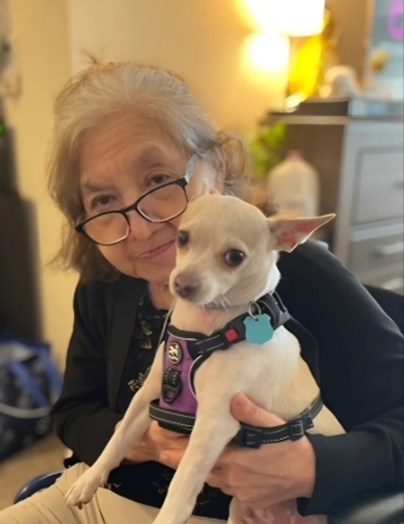 Loreto "Lori" Marapao Castillo