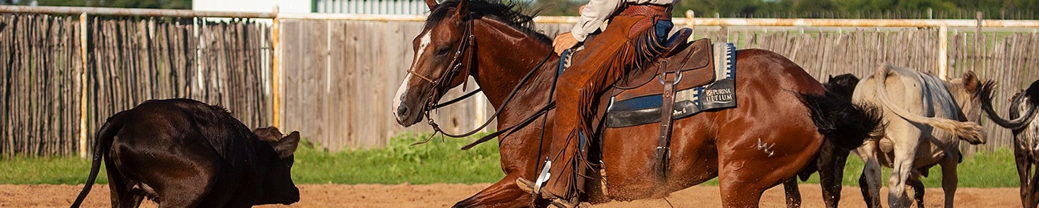 Cover photo for Randy K. Humphrey's Obituary