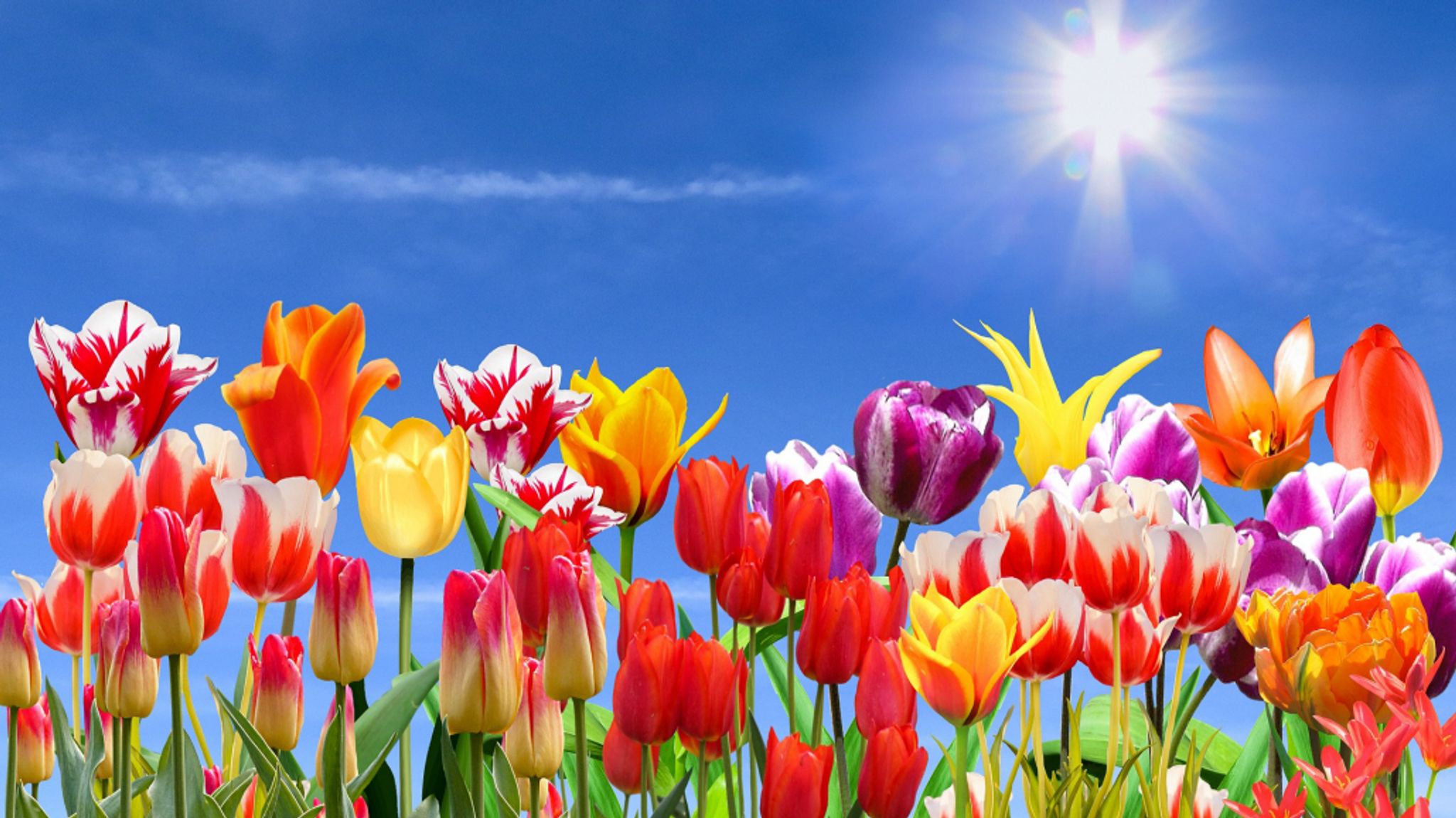 Blanche Emery Obituary July 28 2025 Patton Funeral Home Cremation 