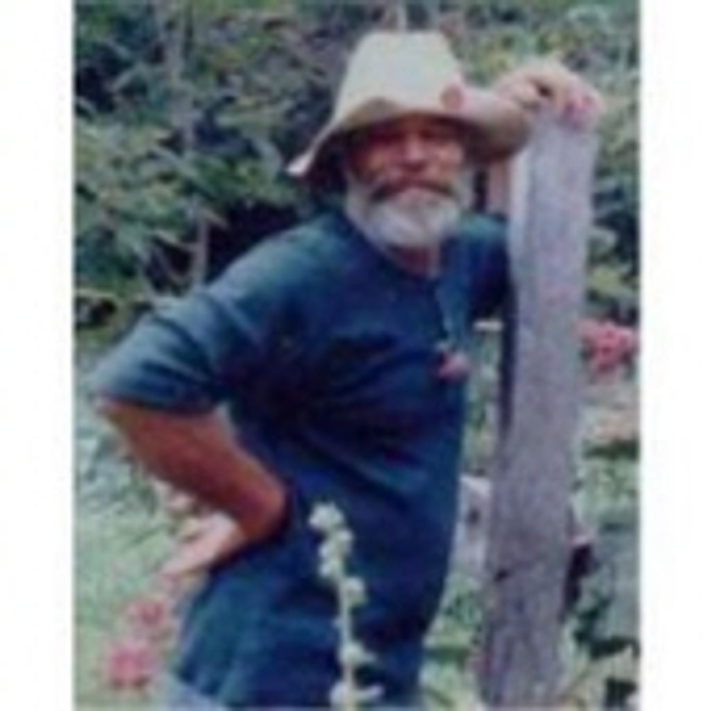 David A. Ross