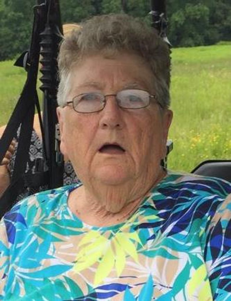 Helen L. Zafonte Profile Photo