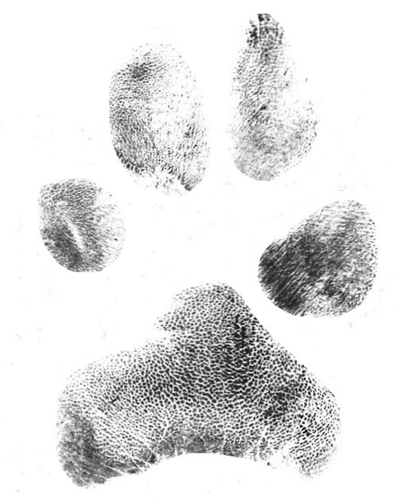 Luna Sims Profile Photo