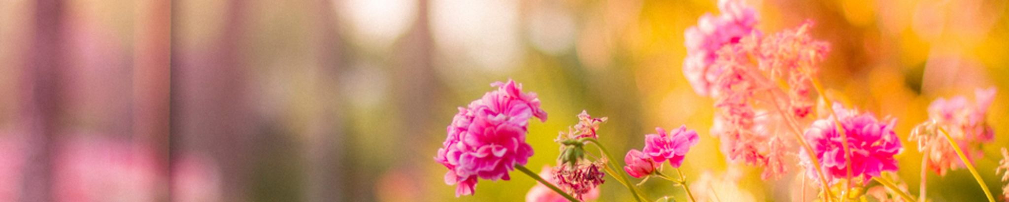 Cover for Kathryn Dee Bodtcher's Obituary