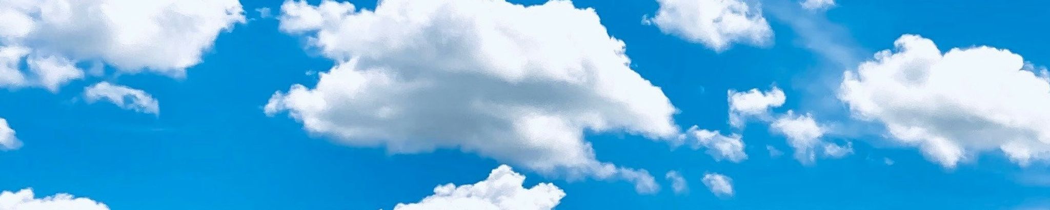 Cover for Willie Culley's Obituary