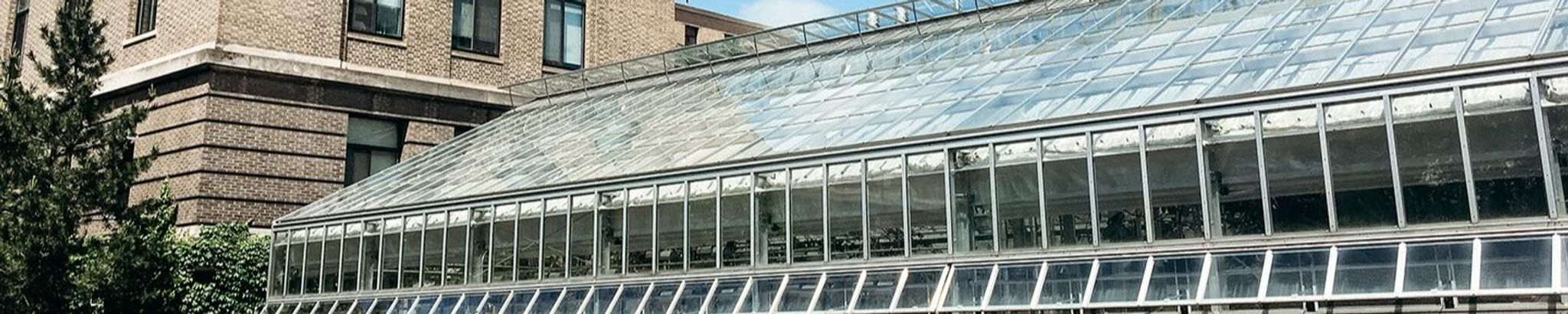 Cover for Hugh Gilbert Gauch Jr.'s Obituary