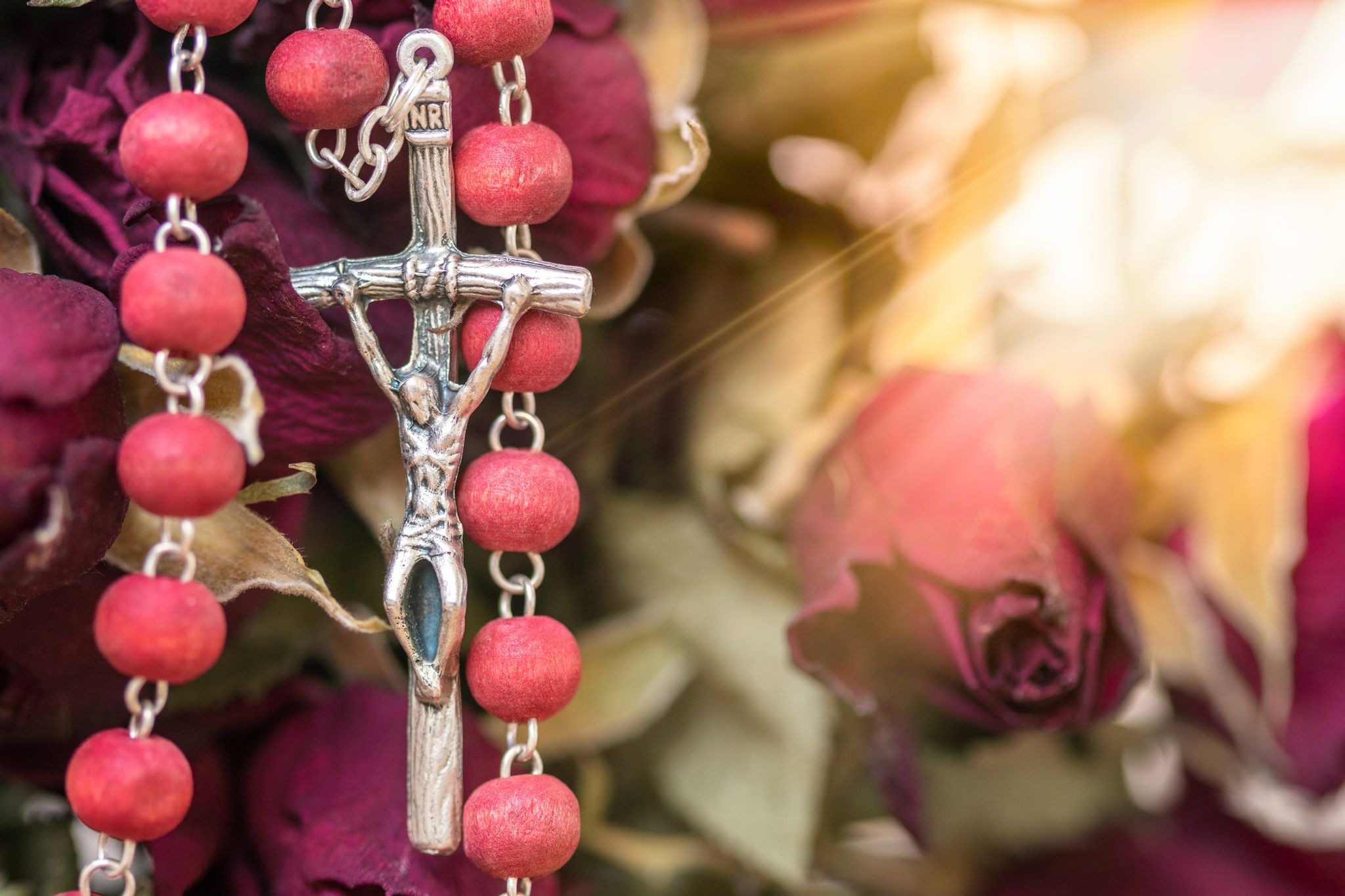 Cover photo for Angela Gonzales's Obituary
