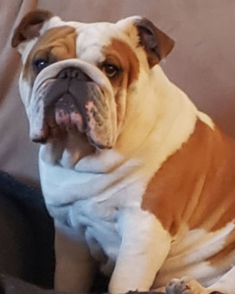 Master Trooper Jarrett