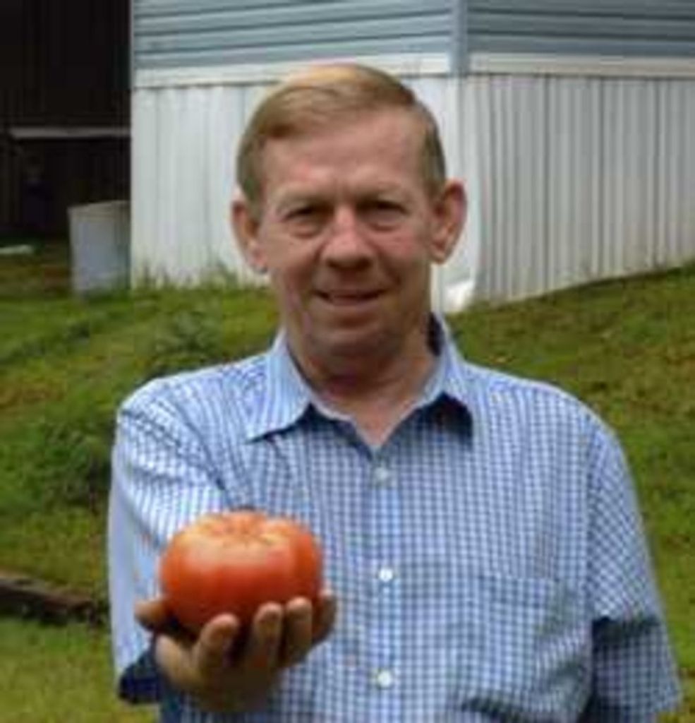 Harold Rose Profile Photo