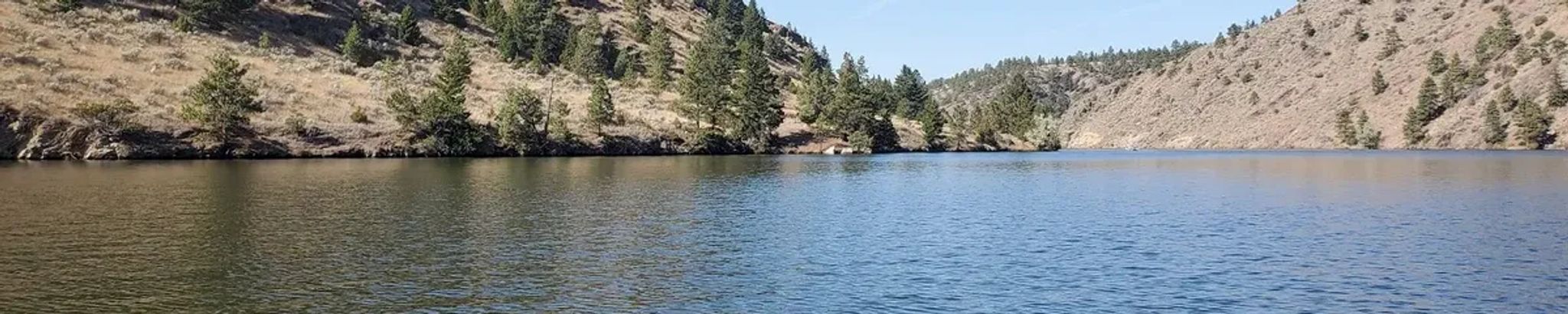 Cover for Ronald Radovich's Obituary