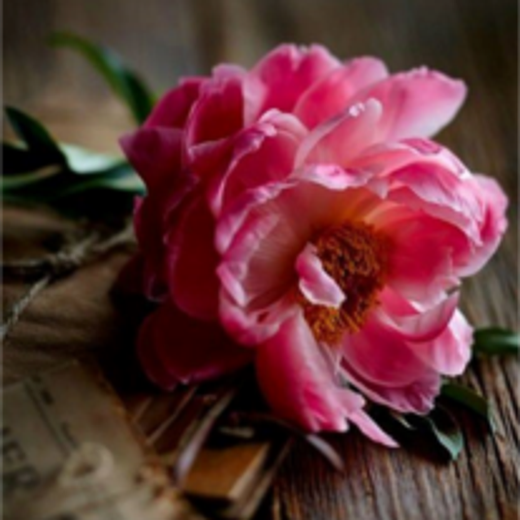 Nancy Lee Balnis