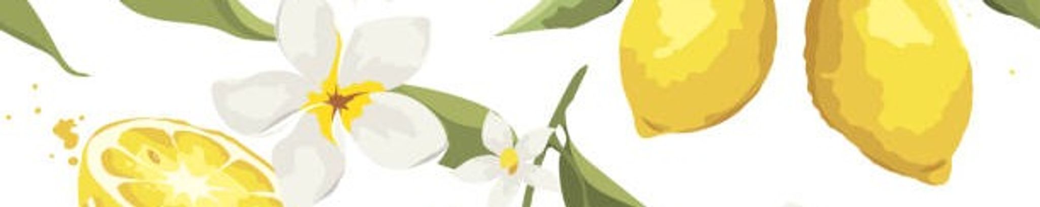 Cover photo for Ann Cook's Obituary