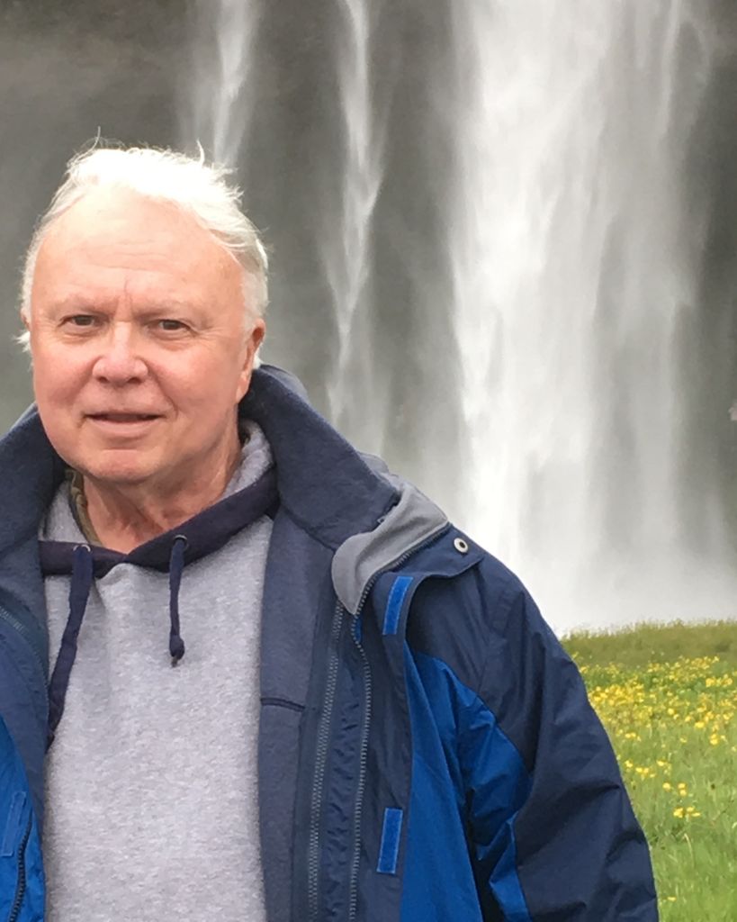 Dr. Thomas S. Lossing Profile Photo