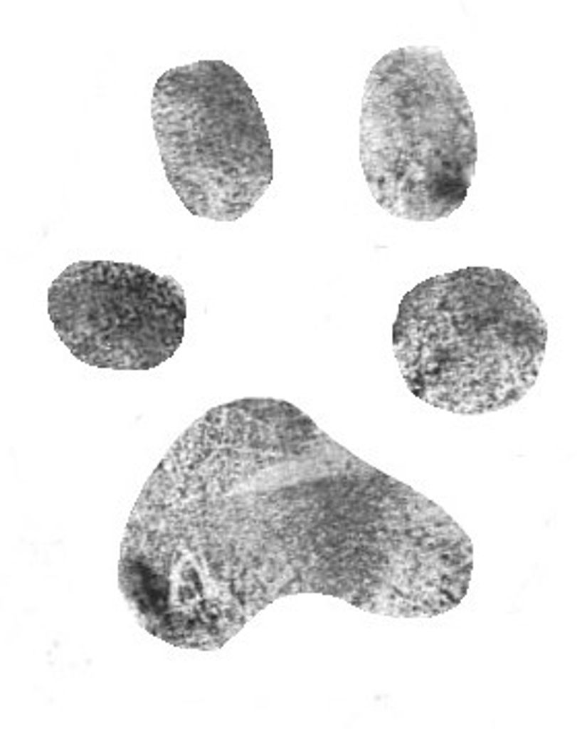 Ranger Heavner Profile Photo