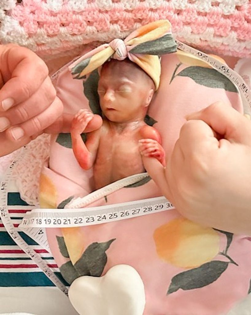Arla Rose Turney Collins