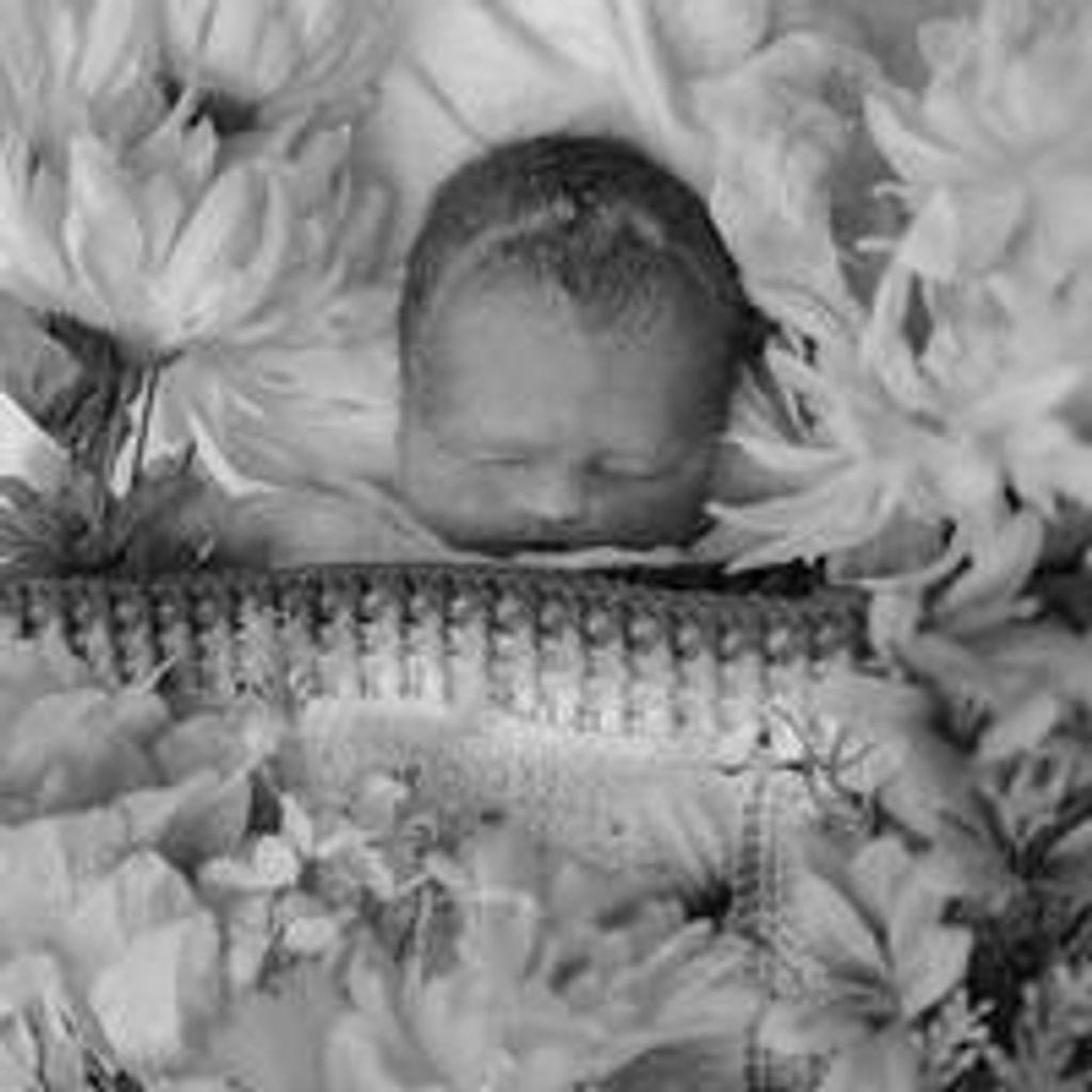 Sawyer Percival Lewis Profile Photo