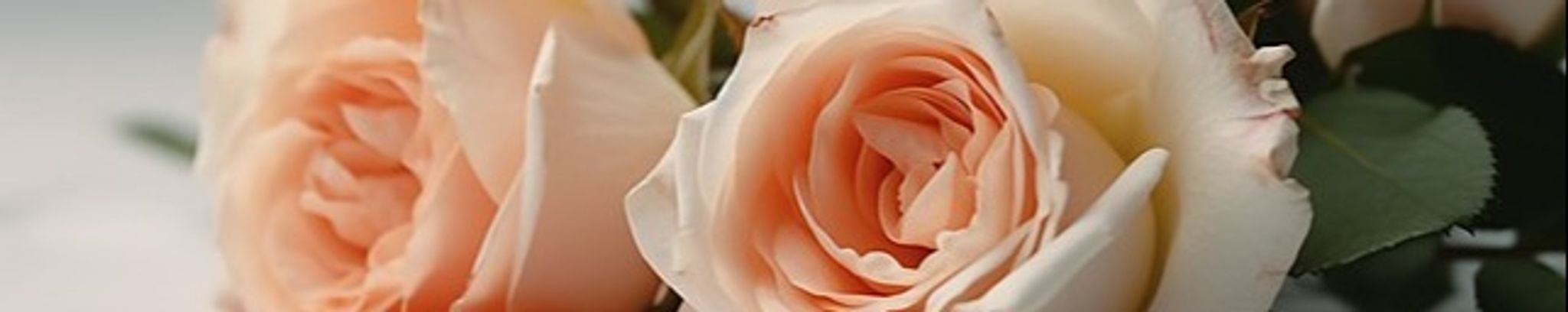 Cover photo for Karen Nanette Cason's Obituary