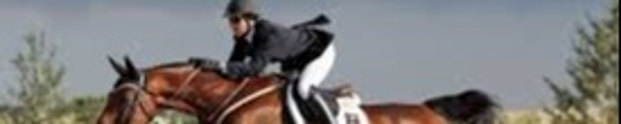 Cover photo for Karen Doyle's Obituary