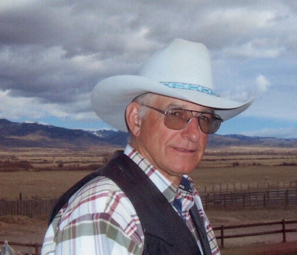 Stephen Douglas Wilcox Profile Photo