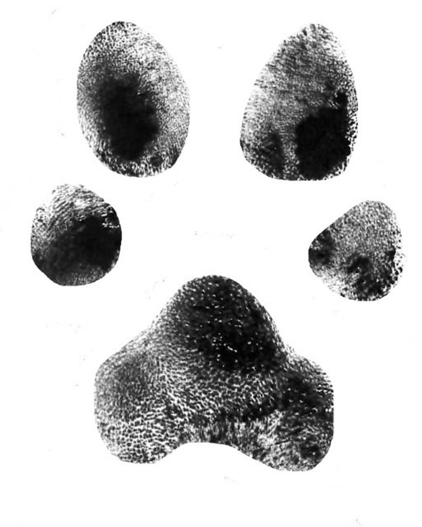 June Hess Profile Photo