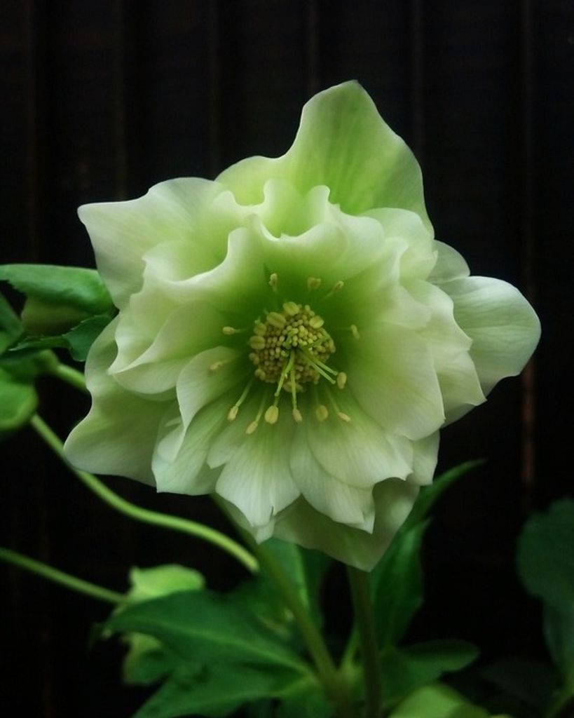 Catherine C. Egan Profile Photo