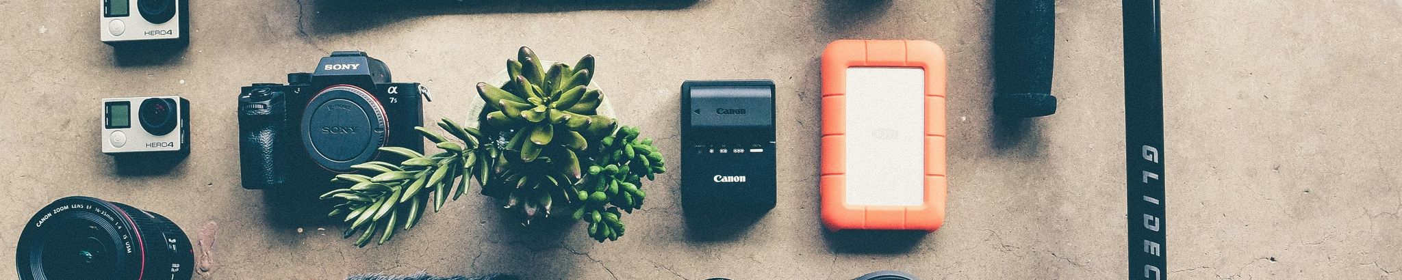 Cover for Sandra Joyce Barger's Obituary