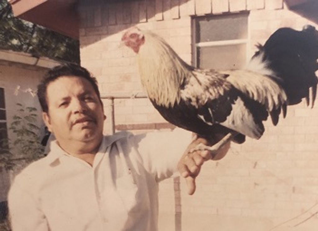 Guadalupe Garza