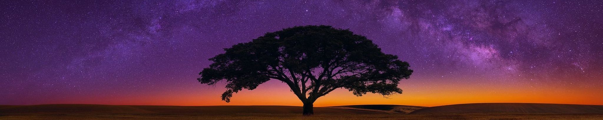 Cover for Sarah Ann Sprouse's Obituary