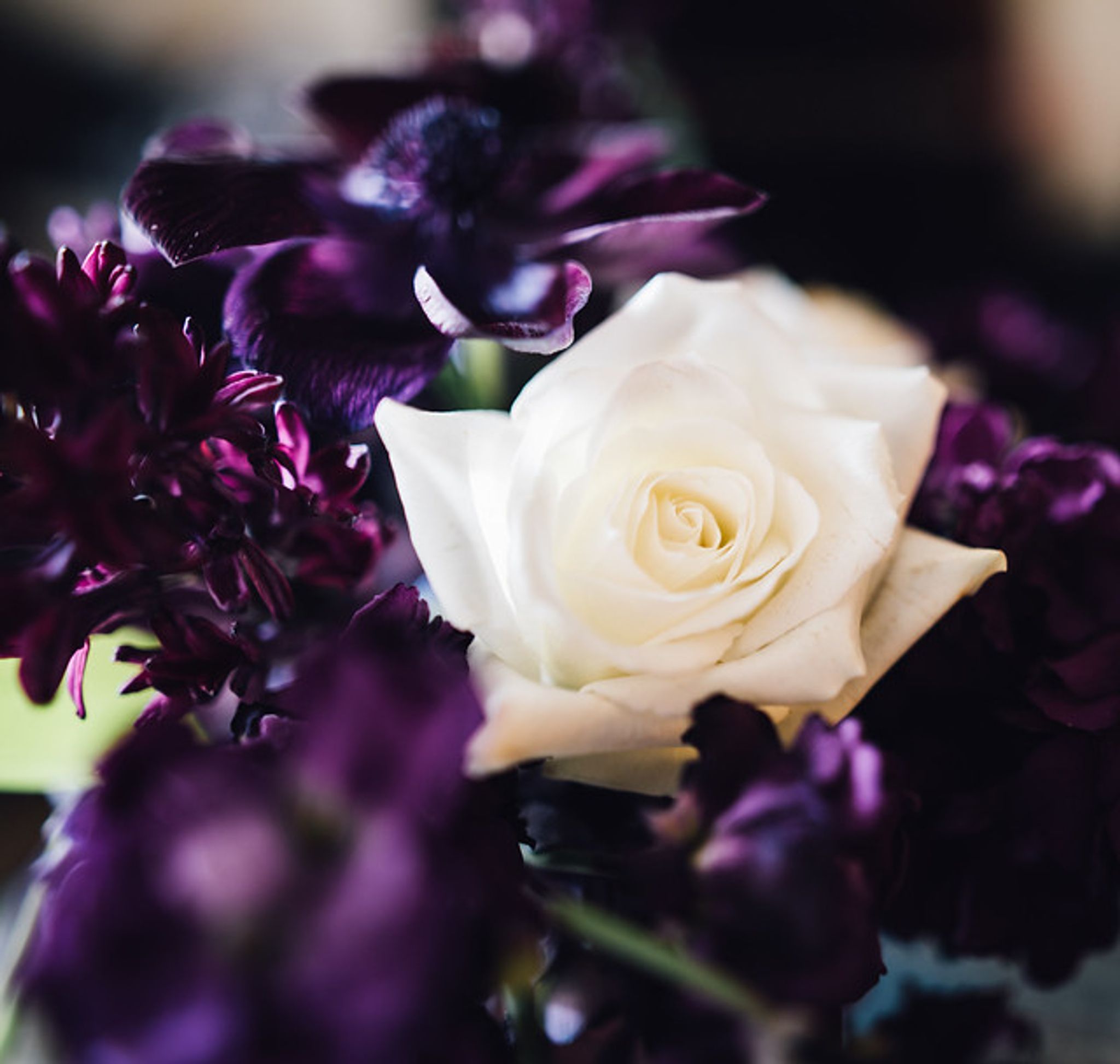 Cover photo for Shashonna Angel Bellman's Obituary
