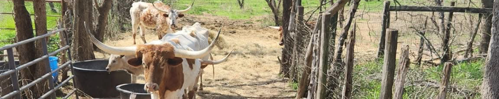 Cover for Jordyn Dabelstein's Obituary