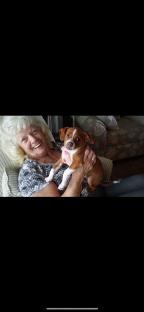 Alma Metcalfe Profile Photo