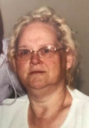 Janis D Bosch Profile Photo
