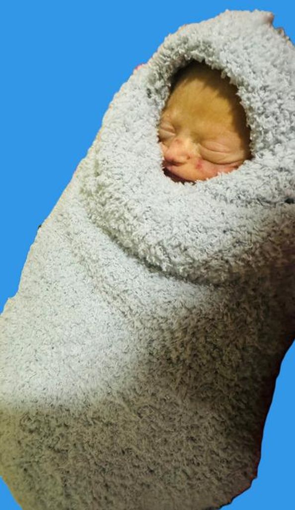 Wyatt Luke Cavitt Profile Photo