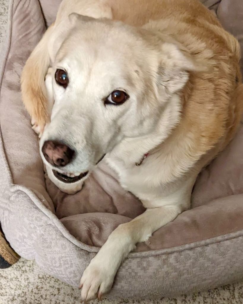 Blondie Kolf Profile Photo